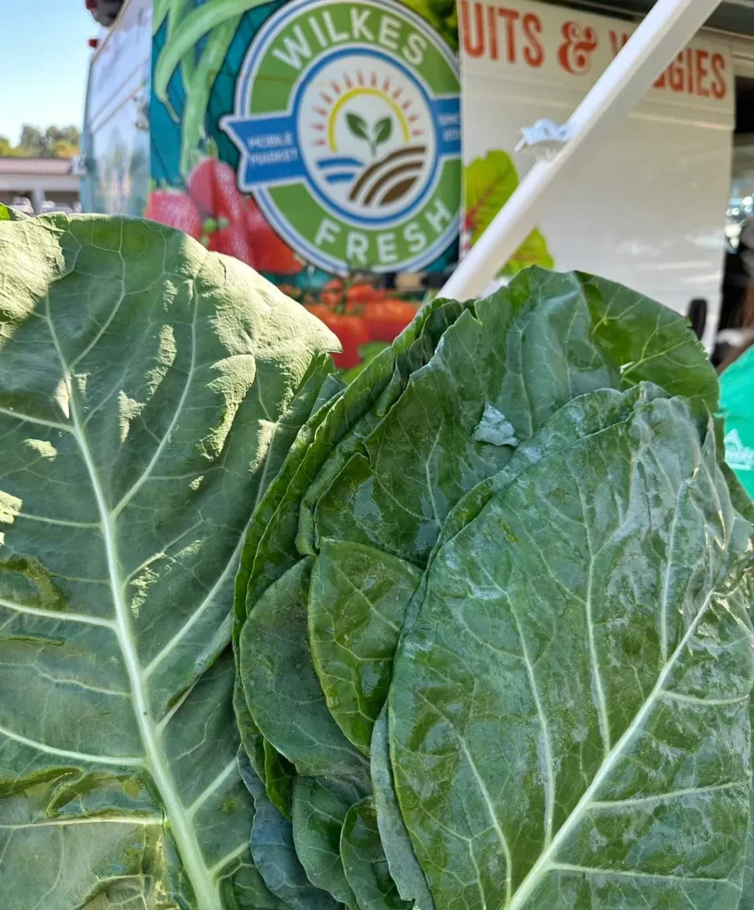 Close-up of fresh lettuce