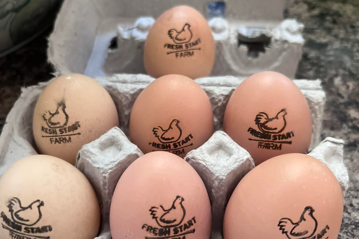 A person in blue gloves examines a medication guide next to vials, syringes, and a bowl of medication caps on a table